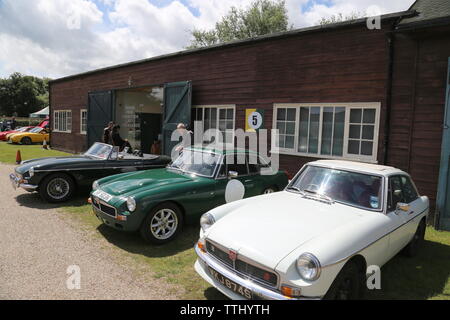 MG Car Club display doppio, dodici Motorsport Festival 2019, Brooklands Museum, Weybridge, Surrey, Inghilterra, Gran Bretagna, Regno Unito, Europa Foto Stock