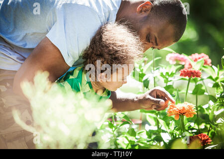 Uomo che mostra i fiori al figlio nel cortile posteriore Foto Stock