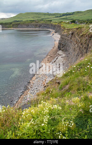 Kimmeridge Bay si trova all' interno di un marine zona speciale di conservazione, Dorset, England, Regno Unito Foto Stock