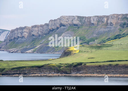 Kimmeridge Bay si trova all' interno di un marine zona speciale di conservazione, Dorset, England, Regno Unito Foto Stock