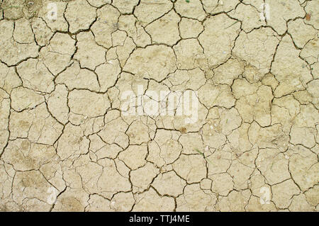 Incrinature a secco in suolo sabbioso, Malta Foto Stock