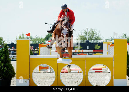 Maschio di cavaliere a cavallo saltando ostacoli alla concorrenza Foto Stock