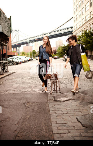 Gli amici con un alano a camminare su una strada di città contro Manhattan bridge Foto Stock