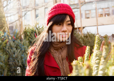 Donna che guarda gli alberi di natale Foto Stock