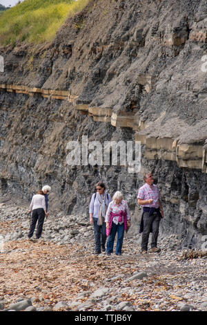 I turisti a piedi scogliere instabili a Kimmeridge Bay Dorset, England, Regno Unito Foto Stock