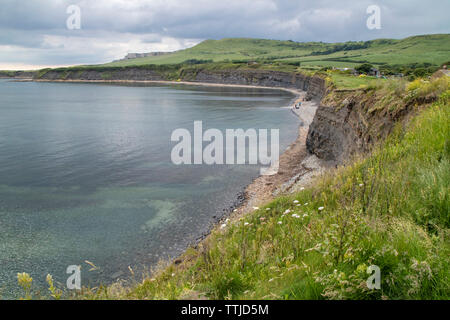 Kimmeridge Bay si trova all' interno di un marine zona speciale di conservazione, Dorset, England, Regno Unito Foto Stock