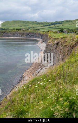 Kimmeridge Bay si trova all' interno di un marine zona speciale di conservazione, Dorset, England, Regno Unito Foto Stock