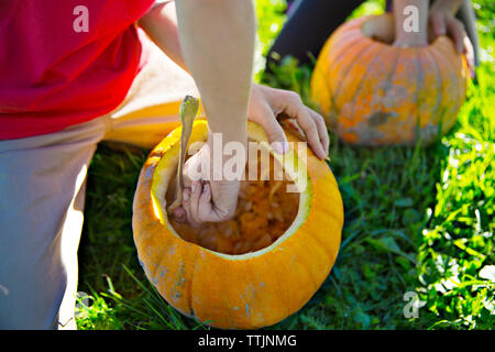 Angolo di Alta Vista del fratello e sorella di rimozione di polpa di zucca sul campo Foto Stock