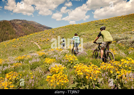 Amici della Bicicletta Equitazione sulla collina contro il cielo nuvoloso Foto Stock