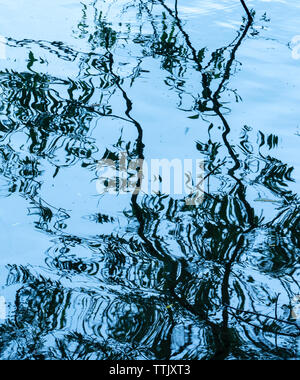 Le riflessioni di rami di albero, Immagine artistica, Withymead Riserva Naturale, Goring on Thames, Oxfordshire, Inghilterra, Regno Unito, GB. Foto Stock