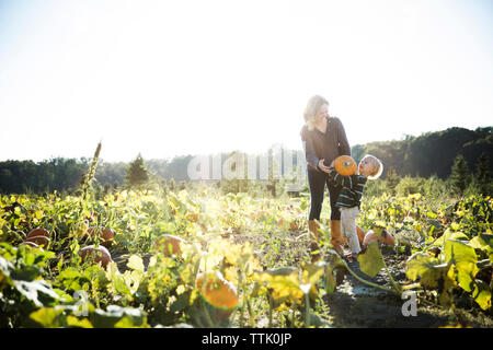 Madre guardando il figlio con le pesanti zucca permanente, mentre in fattoria Foto Stock