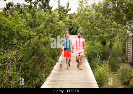 Felice coppia omosessuale parlare mentre si cammina con Chihuahua sul Boardwalk Foto Stock