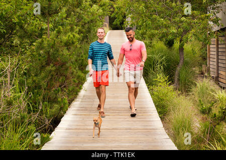 Felice coppia omosessuale parlare mentre si cammina con Chihuahua sul Boardwalk Foto Stock