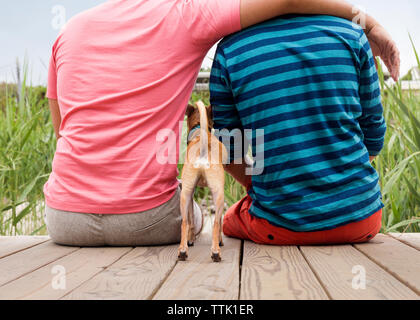 Vista posteriore della coppia omosessuale seduta con Chihuahua sul Boardwalk Foto Stock