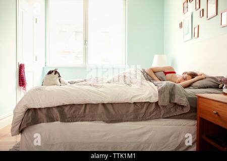 Cat guardando alla donna che dorme sul letto contro la finestra a casa Foto Stock