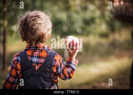 Vista posteriore del boy holding mangiato apple Foto Stock