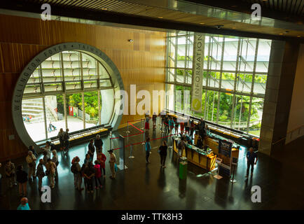 Hall di ingresso o atrio del museo della Nuova Zelanda, Wellington, Nuova Zelanda Foto Stock