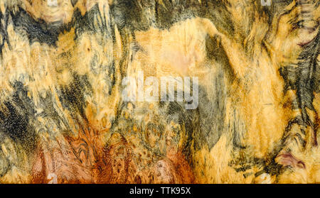 Burl reale a strisce di legno per stampe di foto di arredamento, di legno esotico bellissimo modello per artigianato Foto Stock