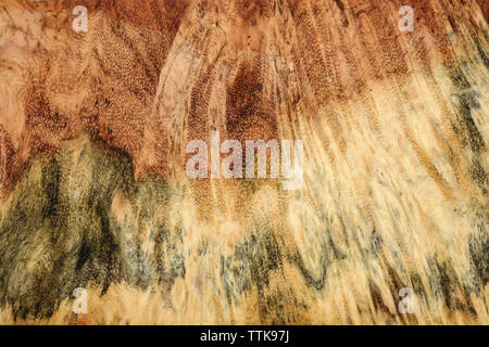 Burl reale a strisce di legno per stampe di foto di arredamento, di legno esotico bellissimo modello per artigianato Foto Stock