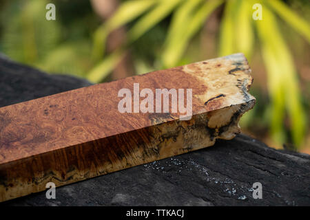 Natura burl a strisce di legno Foto Stock