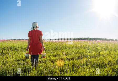 Vista posteriore del contadino femmina fragole porta in secchi sul campo erboso Foto Stock