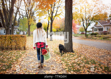 Vista posteriore della donna azienda shopping bag e passeggiate con il cane sul sentiero Foto Stock