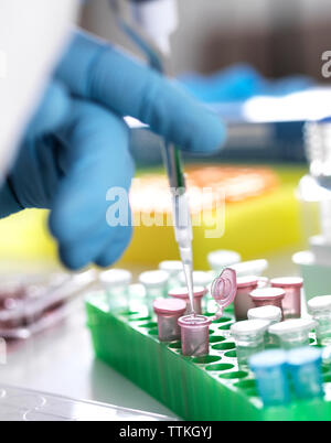 Tagliato a mano scienziato di pipettaggio di campione nella provetta eppendorf flaconcini in laboratorio Foto Stock