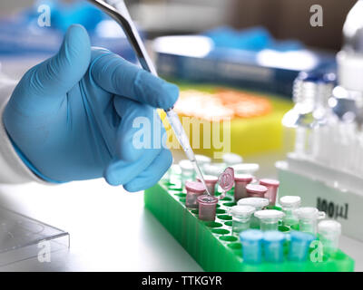 Tagliato a mano scienziato di pipettaggio di campione in fiale eppendorf durante il lavoro in laboratorio Foto Stock