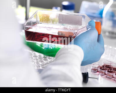 Close-up di tecnico di laboratorio azienda campione di sangue nel contenitore per il test medici Foto Stock