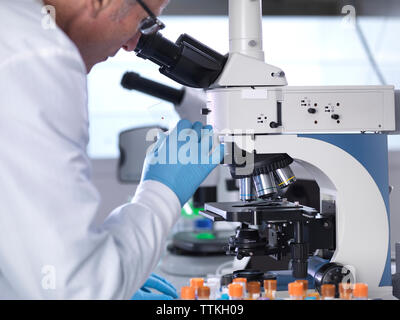 Vista laterale dello scienziato analizzando i campioni di sangue attraverso il microscopio in laboratorio Foto Stock