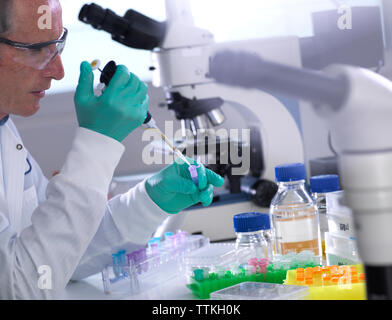 Scienziato maschio il pipettaggio di campioni in flaconcino sulla tabella in laboratorio Foto Stock