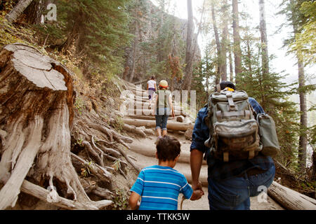 Vista posteriore della famiglia passaggi di arrampicata tra gli alberi nelle foreste Foto Stock