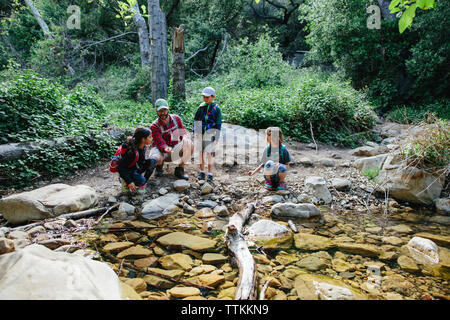 Padre mostra rock per i bambini mentre accovacciato da stream in foresta Foto Stock