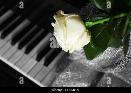 Bella rosa bianca con tessuto ornamentale su tasti di pianoforte, close up Foto Stock