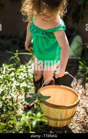 Angolo di Alta Vista della ragazza con cestello permanente, mentre in cantiere Foto Stock Angolo di Alta Vista della ragazza con cestello permanente, mentre in cantiere Foto Stock