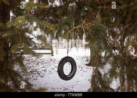 Tire Swing pendente da albero a parco giochi Foto Stock