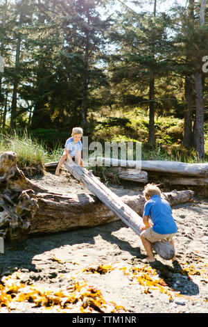 Fratelli giocando sul log a Fort Ebey parco dello stato durante la giornata di sole Foto Stock