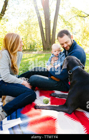 Una famiglia amorevolmente guarda i loro cani Weimaraner Foto Stock