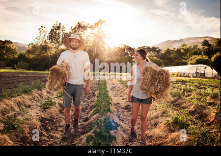 Felici gli agricoltori che trasportano balle di fieno mentre si cammina sul campo