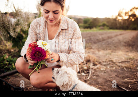 L'agricoltore femmina holding bellissimi fiori con cane sul campo Foto Stock