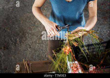 Angolo di alta vista di imprenditore di taglio gli steli dei fiori a livello di azienda Foto Stock