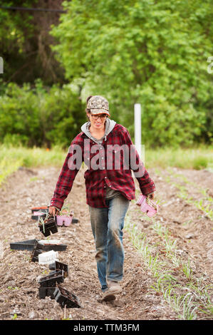 L'agricoltore femmina portando vassoi piantina mentre si cammina in agriturismo Foto Stock