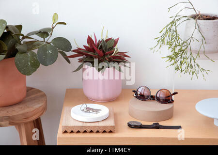 Angolo di alta vista di accessori personali con piante e tasti disposti sul tavolo di legno contro la parete a casa Foto Stock