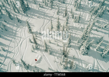 Vista aerea dell'uomo sciare sulla neve coperto campo nella foresta Foto Stock