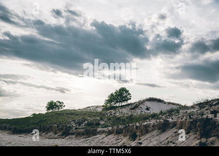 Vista panoramica della spiaggia contro il cielo nuvoloso Foto Stock