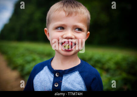 Felice Ragazzo che guarda lontano mentre mangiando fragola Foto Stock