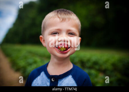 Ritratto di felice ragazzo di mangiare fragole Foto Stock