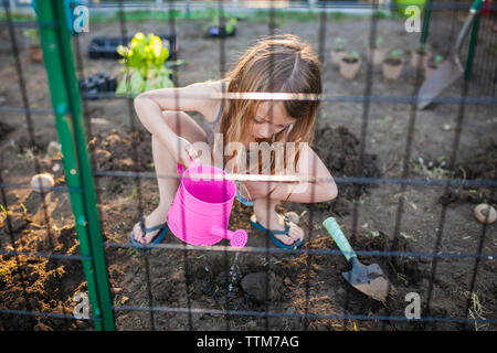 Angolo di Alta Vista della ragazza pianticella di irrigazione in cortile Foto Stock