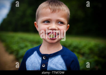 Felice ragazzo di mangiare fragole mentre si sta in piedi sul campo Foto Stock