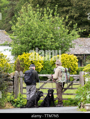 Grasmere, Cumbria, Regno Unito: Due uomini che indossano zaini parlano da un cancello a cinque bar. Ogni uomo tiene un labrador nero Retriever che si siede dai loro piedi. Foto Stock